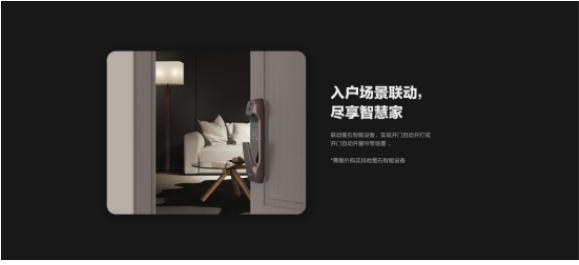 萤石智能锁网络首款智能猫眼锁DL30VS火热销售中