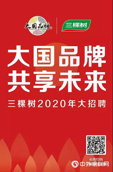 三棵树2020年大招聘火热进行中：大国品牌共享未来