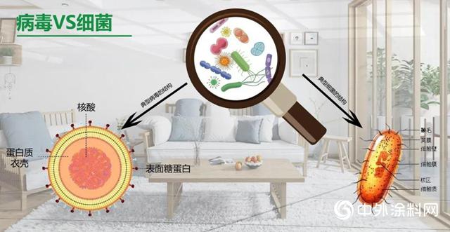 三棵树新品｜360多效抗菌抗病毒全能墙面漆，刷新生活健康码