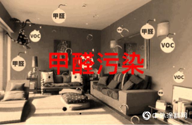 家里没异味，也可能有甲醛！降解甲醛，交给它！