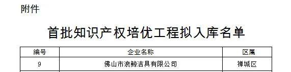浪鲸上榜“首批知识产权培优工程拟入库名单” 浪鲸上榜“首批知识产权培优工程拟入库名单”