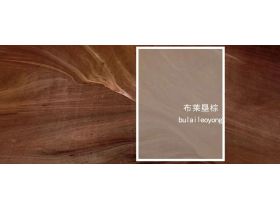 秋天爆火的网红墙色——布莱垦棕，你心动吗？