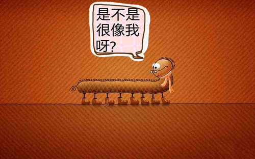 2014年慧亚年会 捡起你的节操来
