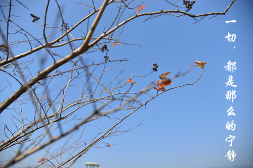 2014年慧亚年会 捡起你的节操来