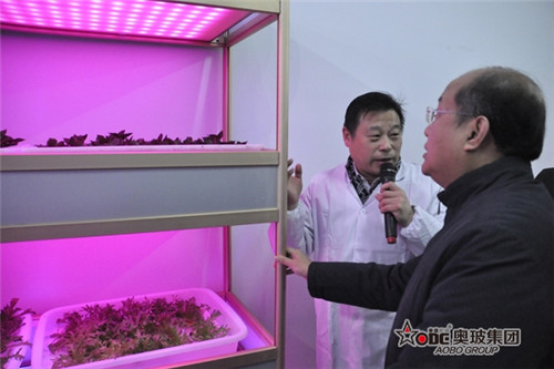 立足地方经济 奥玻集团2014年产业发展将大展宏图