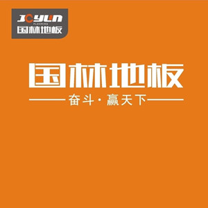 借势互联网 国林地板品牌形象升级