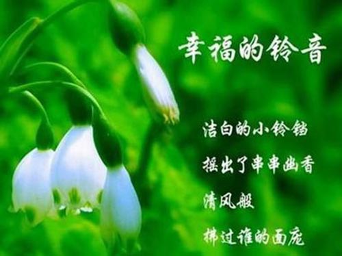 特普丽《瑞丽》铃兰墙纸版本——幸福永驻的心愿