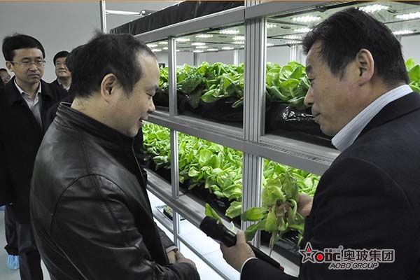 奥玻集团：让产品实现真正的市场价值