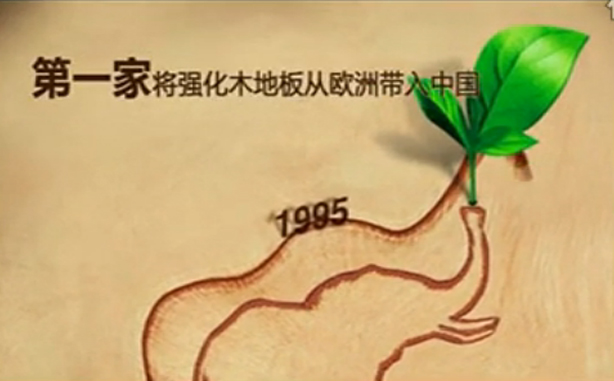 复合木地板十大品牌——圣象地板