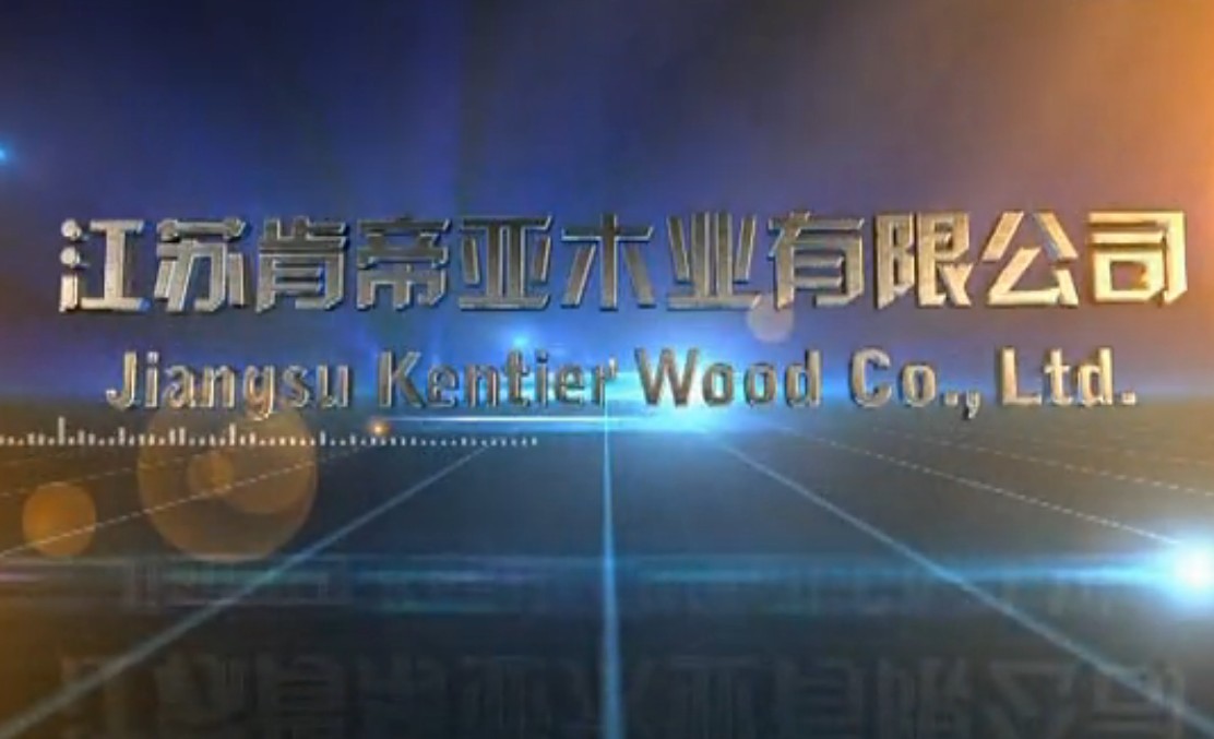 整合世界资源，打造中国品牌——肯帝亚地板形象片