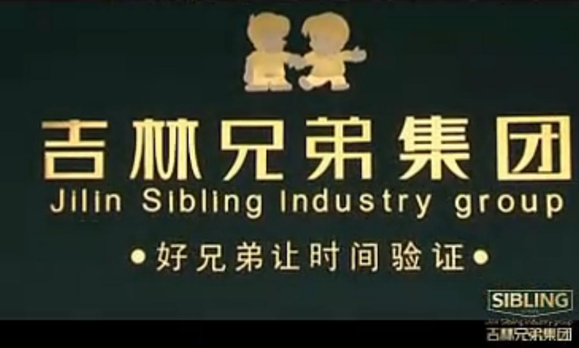 吉林兄弟木业集团宣传片：木门十大品牌 