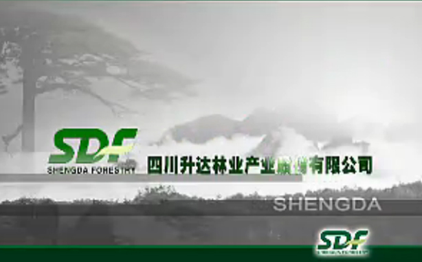 自然是榜样——升达地板形象宣传片