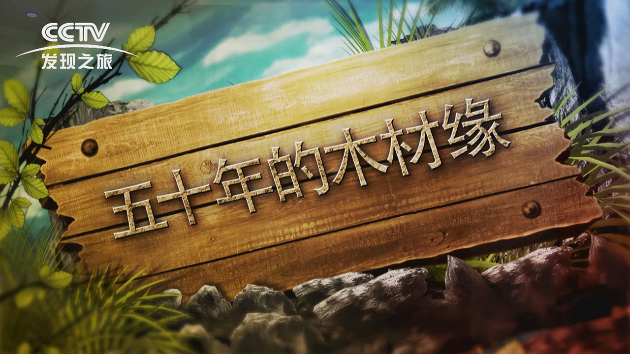 泰来木业创始人陈学鉴：以“工匠精神”铸就品牌