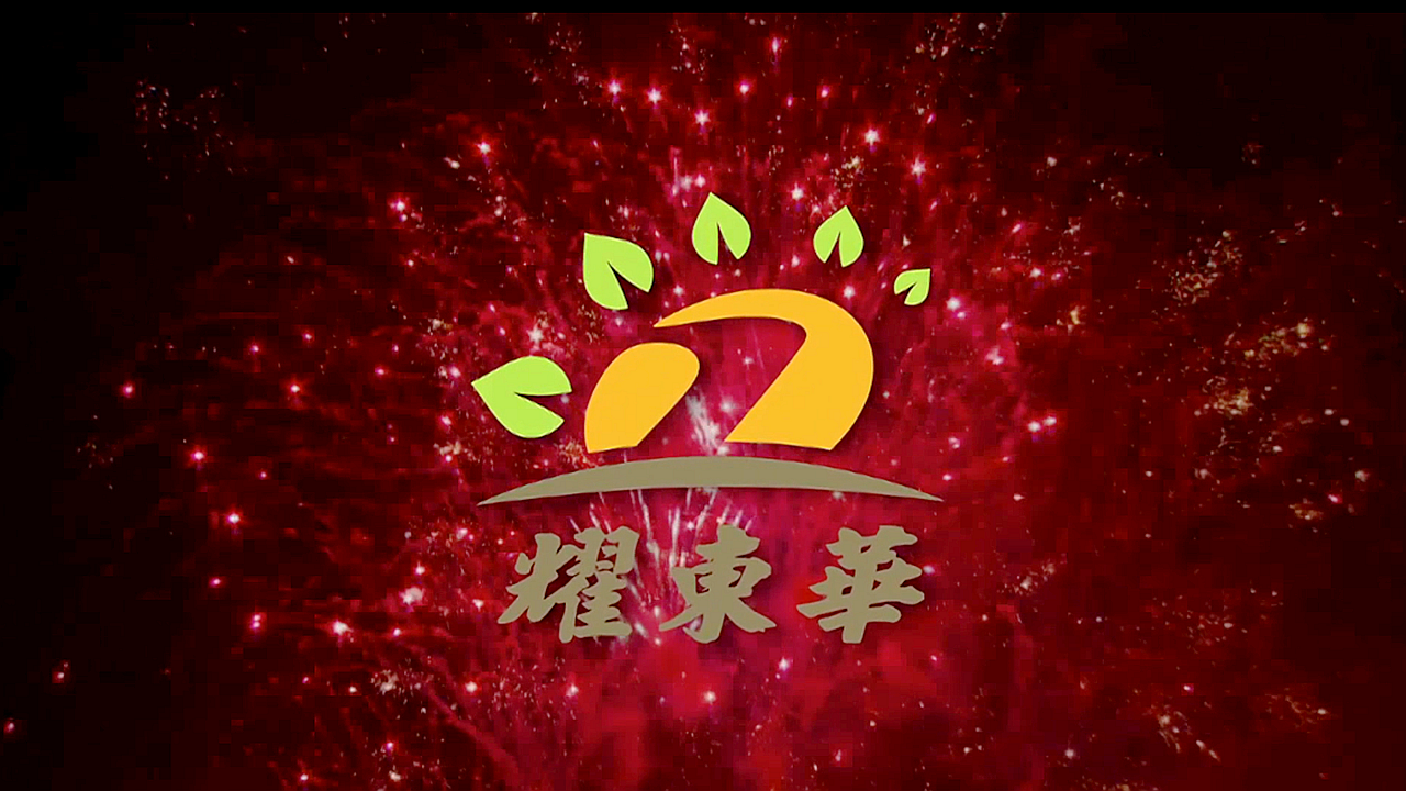 广东耀东华家具板材有限公司——家居行业的极致选择！