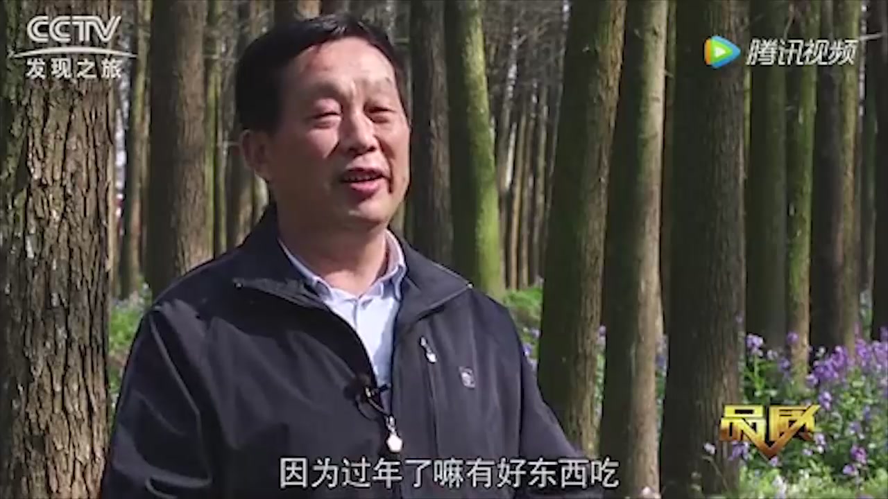 爱舍墙纸《品质》