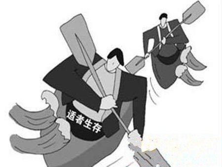 门窗市场进入调节期，企业该如何调整自身才能适应市场？
