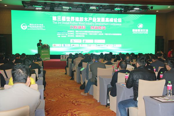 重庆木门“小分队”参加第三届世界橡胶木产业发展高峰论坛