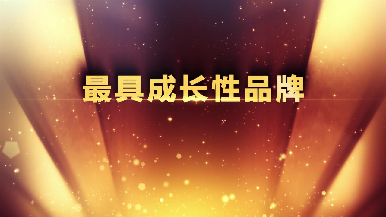 最具成长性品牌