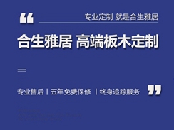 合生雅居新营销渠道抢占市场核心竞争力