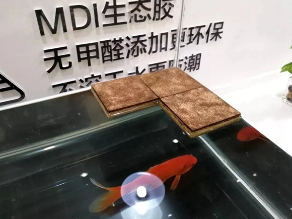 千年舟·柏菲伦：校园室内空气污染怎么办？