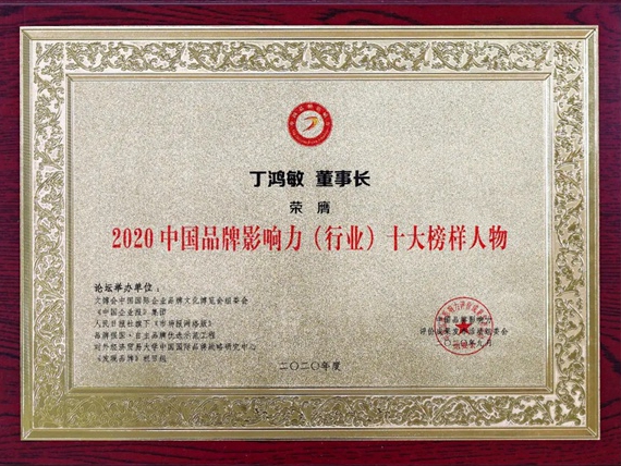 兔宝宝董事长丁鸿敏荣膺“2020中国品牌影响力（行业）十大榜样人物”