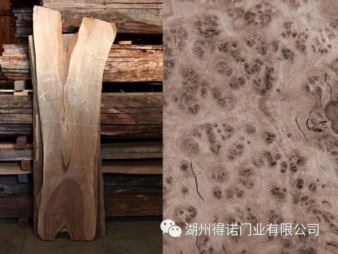 得诺门业 | 现代美学彰显空间细腻品质