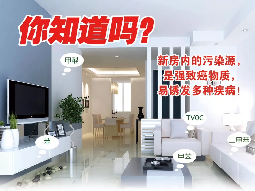 涂兰朵：继续呼吸甲醛，还是选择更好的生活？