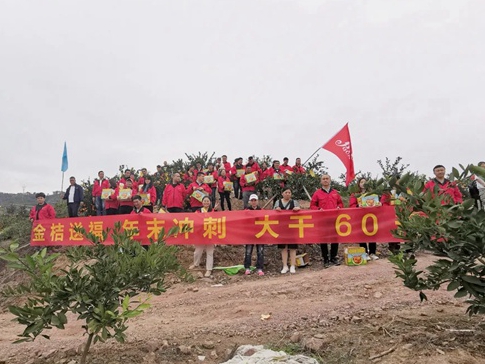 金桔送福 群喜木门打响年末冲刺战役