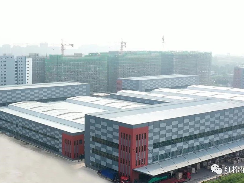 红棉花板材 | 木质功能材料与制品国家创新联盟第一届专家委员会成功召开