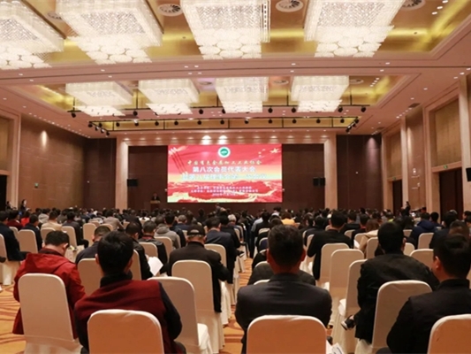 广东伟业集团梁美婵同志获评2020年中国有色金属加工行业先进工作者