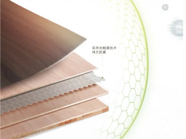 千年舟·柏菲伦板材的免疫力，硬核科技守护全家健康