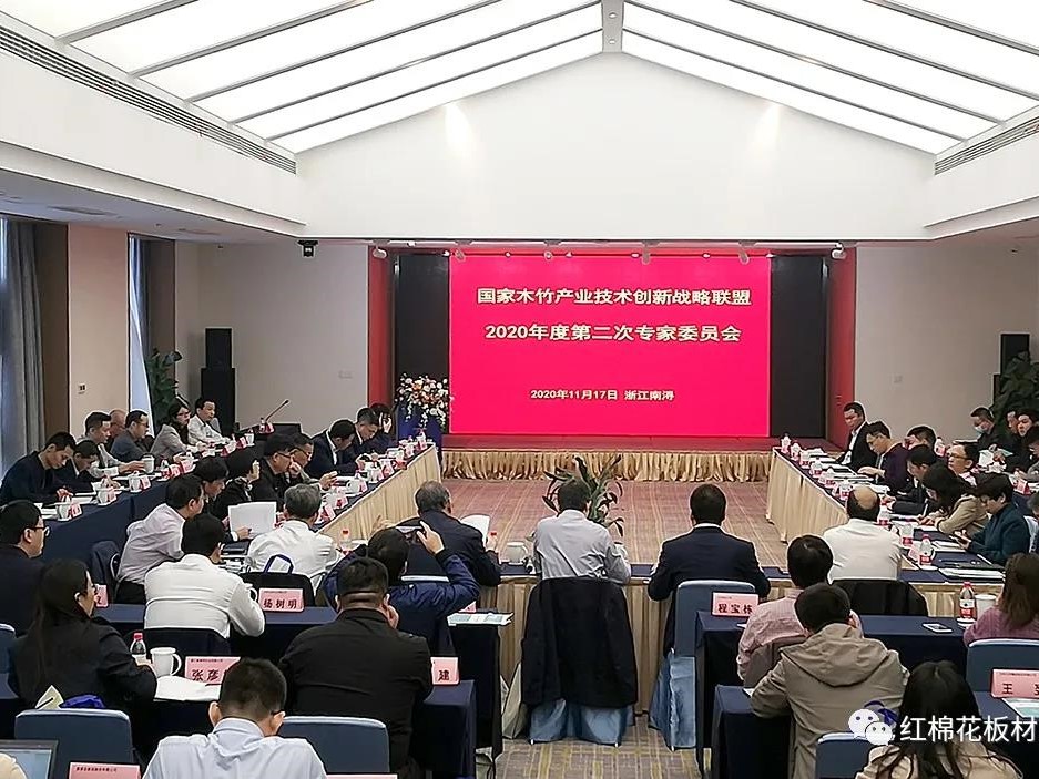 红棉花板材 | 国家木竹产业技术创新战略联盟2020年度第二次专家委员会圆满召开