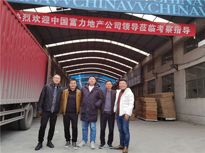 威纳斯木门丨中国富力地产集团领导莅临威纳斯木门考察指导