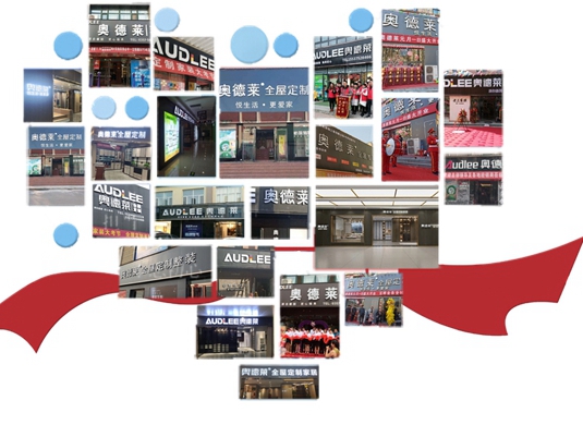 奥德莱2020年度“最佳新锐经销商”出炉！
