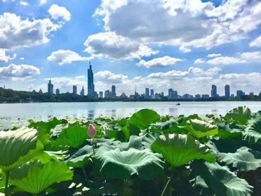 精艺木门免漆类产品，比重明显提升
