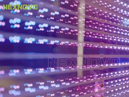 坚朗五金：晶泓贴膜屏NW系列高光献映“星光美学”