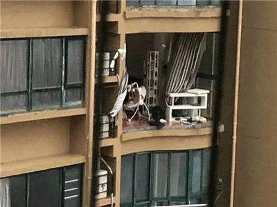 老赖不赖门窗丨家住高层须注意这些门窗隐患