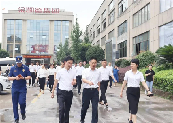 金凯德入户门：武义县委书记姚激扬一行来访调研，鼓励公司高质量发展！