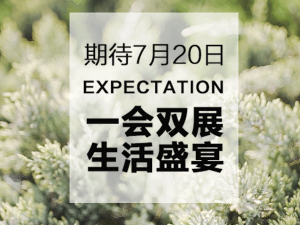 一会双展，750㎡OOD全屋定制凡尔赛现场