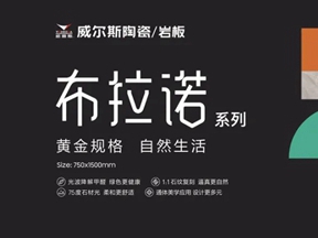 威尔斯陶瓷新品丨通体美学 自然更美