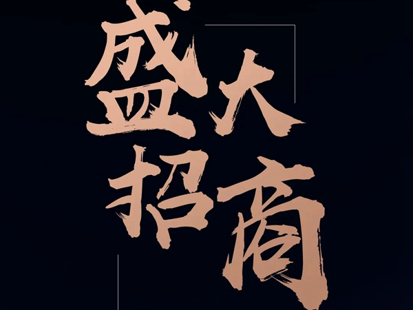 MAX+岩板 威尔斯陶瓷火热招商中