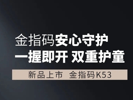 【新品】一握即开，双重守护，KSMAK金指码智能云锁K53给你安心守护！