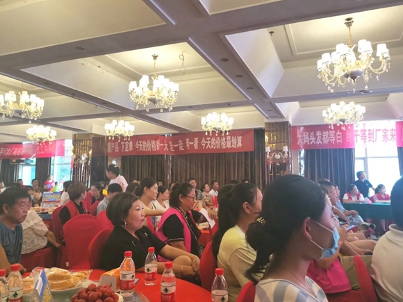 5天32万！联盟拓源，欧派高端软装舞钢商场全案火力全开！