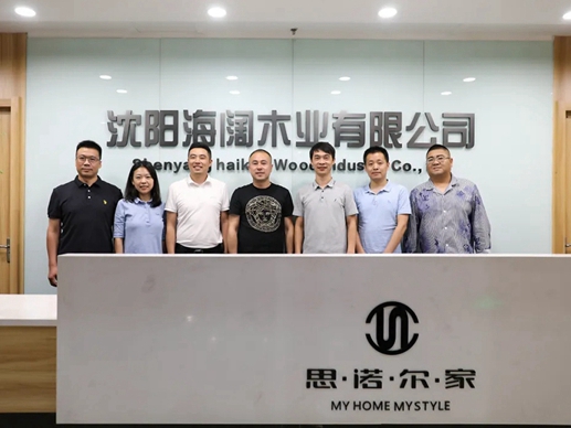 思诺尔家木门定义发展趋势，共商行业未来
