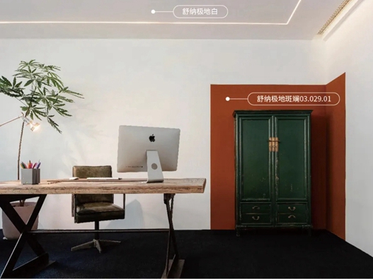 舒纳沃恩漆(乳胶漆)案例|几何色块构建形式美