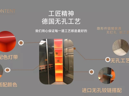 迈世森德国无孔工艺全屋家具定制