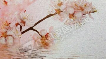 客厅背景墙|电视背景墙|床头背景墙|玄关装饰画材料 弱溶剂凹凸纹墙纸