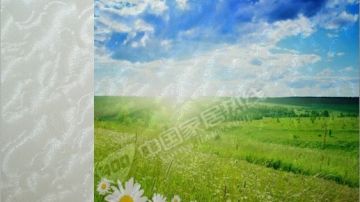时尚花纹墙纸材料 个性壁纸基材 弱溶剂白色花纹墙纸