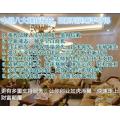 墙艺涂料 中鼎墙艺漆 