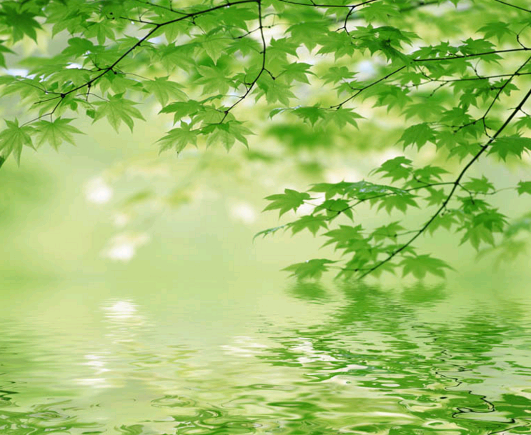 01-9Q-自然风景-065-M